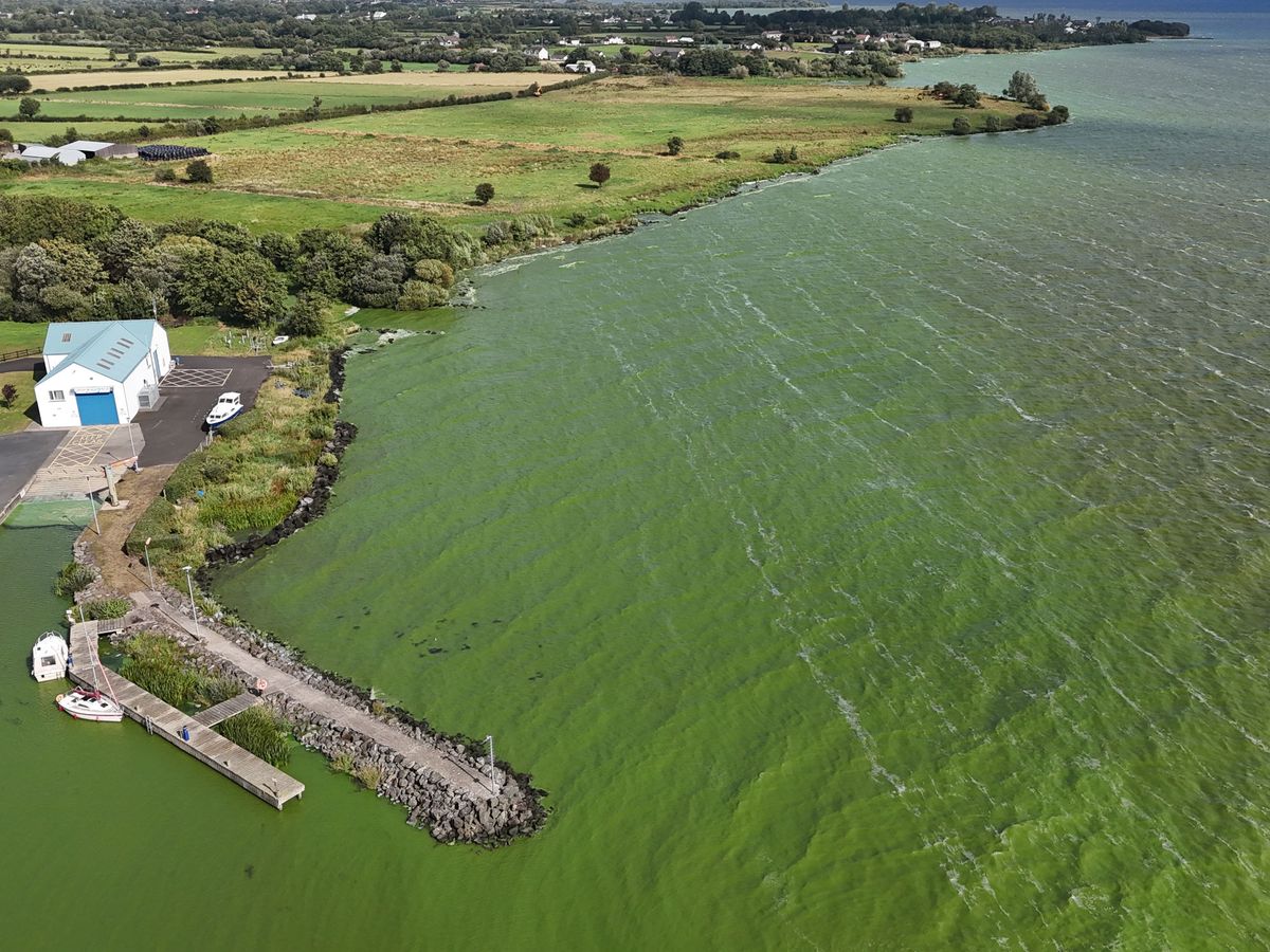 Recovery of Lough Neagh &lsquo;will take years, if not decades&rsquo;, says Muir
