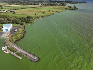Supporting image for story: Recovery of Lough Neagh ‘will take years, if not decades’, says Muir