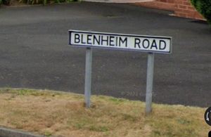 Blenheim Road, Telford. Picture: Google Maps