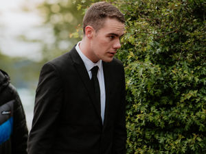 Supporting image for story: Animals must be protected as well