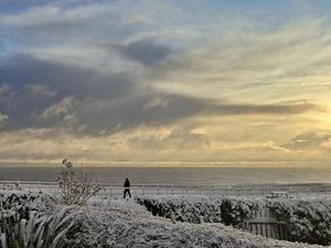 Supporting image for story: In Pictures: The changing seasons during 2025