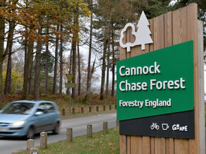 Supporting image for story: Election preview 2021: Will the Tories strengthen grip on Staffordshire?