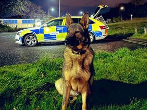 Supporting image for story: Praise for police dog and human rescuers who found missing Bridgnorth woman