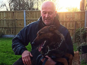 Supporting image for story: More than 28,000 join fight for West Mercia police dog to remain with retiring handler