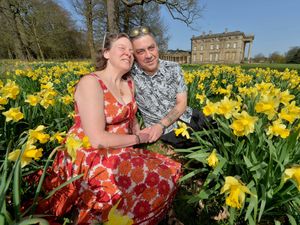 Supporting image for story: When Mark met Sally - a tale of lockdown love