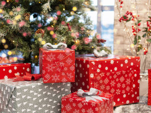 Supporting image for story: Senior residents in Ludlow invited to free Christmas party