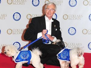 Supporting image for story