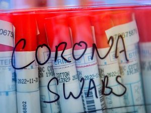 Supporting image for story