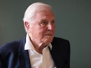 Supporting image for story: New David Attenborough docuseries ‘almost Shakespearean’ in feel, says producer