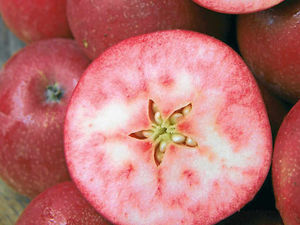 Supporting image for story: Rare fruits set to tempt shoppers' tastebuds