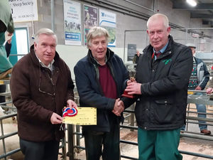 Supporting image for story: Double delight for Oswestry sheep farmer 