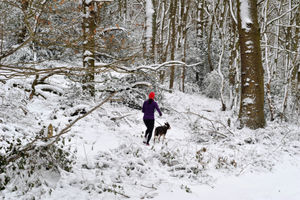 Snow on Ercall Lane near the bottom of the Wrekin