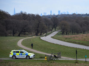 Supporting image for story: Side effects of pandemic could mean a 'better normal' for the environment