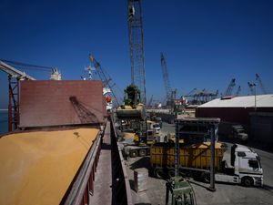 Supporting image for story: Ship with Ukrainian corn and vegetable oil docks in Lebanon