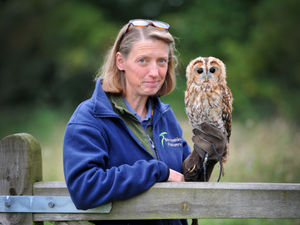 Supporting image for story: Autumn Fair for Shropshire families taking place at RAF Museum in the October half term holidays 