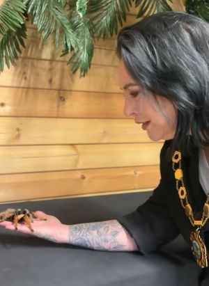 Councillor Callear with Charlotte the tarantula. Image: Telford & Wrekin Council