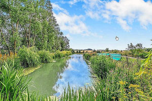 Supporting image for story: £325,000 carp and catfish fishery in Newport could be a great catch