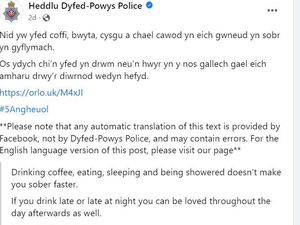 Supporting image for story: 'You can be loved throughout the day': Welsh police's computer-generated translations raise eyebrows