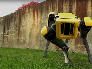 Supporting image for story: The latest offering from Boston Dynamics could be the robot dog of the future