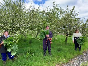 Supporting image for story: Charity for adults with disabilities moves farms and plans community orchard