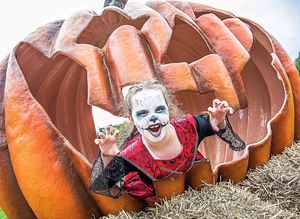Tricks and treats – there are attractions for all ages