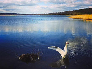 Supporting image for story: Swansong for those Shropshire chilly days
