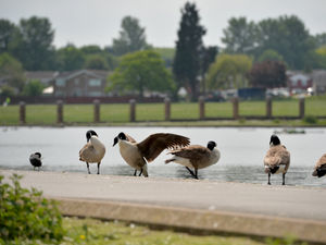 Supporting image for story: Why do I think the Black Country's bostin'? Here's a dozen reasons to get you started