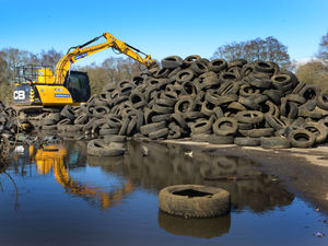 Supporting image for story: From 60,000-tyre scrapyard to Shropshire nature site - watch the work get under way 