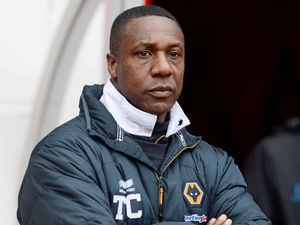 Supporting image for story: Terry Connor sacked by Wolves over 'footballing differences'