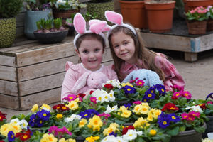 Dobbies is working with Gabby’s Dollhouse for an Easter-themed Little Seedlings Club workshop this April