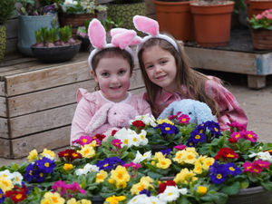 Supporting image for story: Free spring gardening and creativity day for families