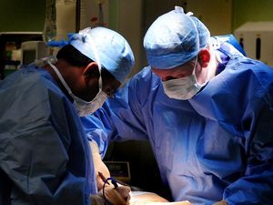 Supporting image for story