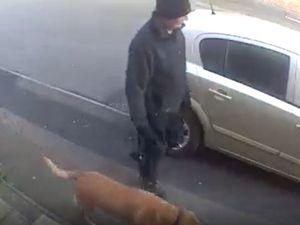 Supporting image for story: Police hunt for mystery man after video shows car being vandalised