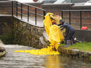 Dropping in the ducks