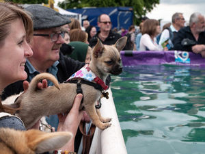 Supporting image for story: Thousands descend on Cheshire's Arley Hall for DogFest 2017