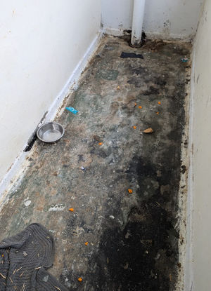 The room in which Princess was kept