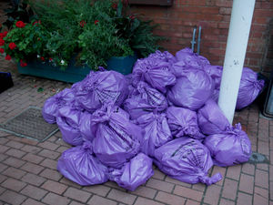 The rubbish collected during the litter pick ready to be disposed of. Image by Andy Compton