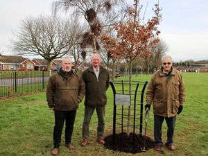 Supporting image for story: Village plants tree following Coronation fundraising