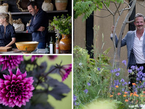 Supporting image for story: Record number of show gardens and more than 90,000 visitors enjoy Gardeners’ World Live