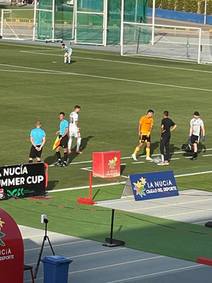 Raul exits the field (Getty) 