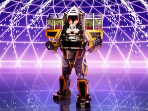 Supporting image for story: The Masked Singer reveals new cast of characters for series three