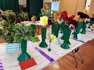 Supporting image for story: Horticultural society ready for annual show thanks to continued support