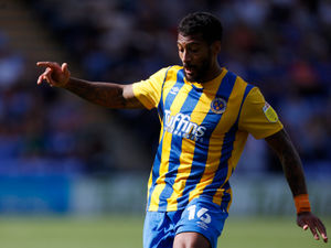 Supporting image for story: David Davis: Shrewsbury Town return was simple call