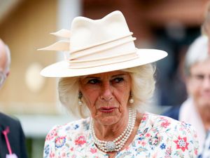 Supporting image for story: Camilla told Boris Johnson she was ‘attacked’ by man on train – new book