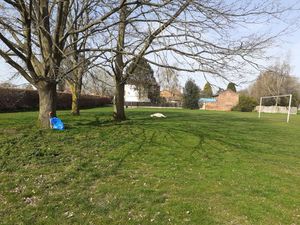 Supporting image for story: Litter problems in Newport as lockdown eases