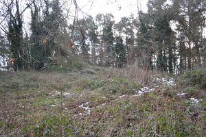 Eddie had a long-disappeared hut in a clearing on the summit of the spoil heap.