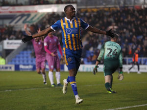 Supporting image for story: Shrewsbury Town 3 Rochdale 2 - Report and pictures