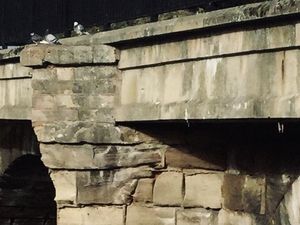 Supporting image for story: Councillor warns of bridge damage risk