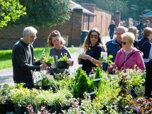 Spring Plant Fair