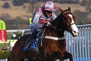 Punjabi in his racing days – he won the 2009 Champion Hurdle
